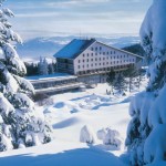 vitosha rental car hire