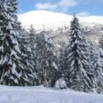 belitsa rent a car