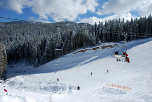 uzana car rental uzana car rental