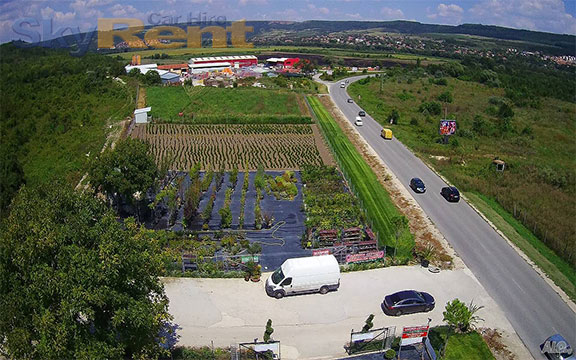 икономически коли под наем варна рогачево