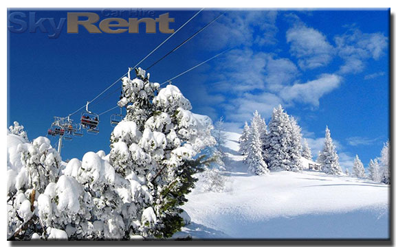 koli-pod-naem-borovets