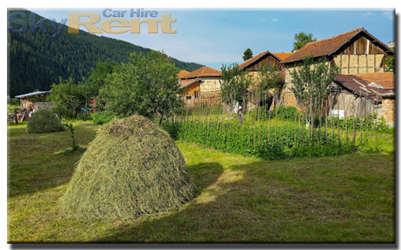rent-a-car-govedartsi rent-a-car-govedartsi